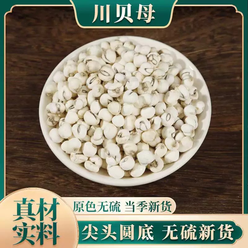 正品川贝母无硫新货贝母中药材纯天然质地坚硬整颗饱满圆润煮粥喝