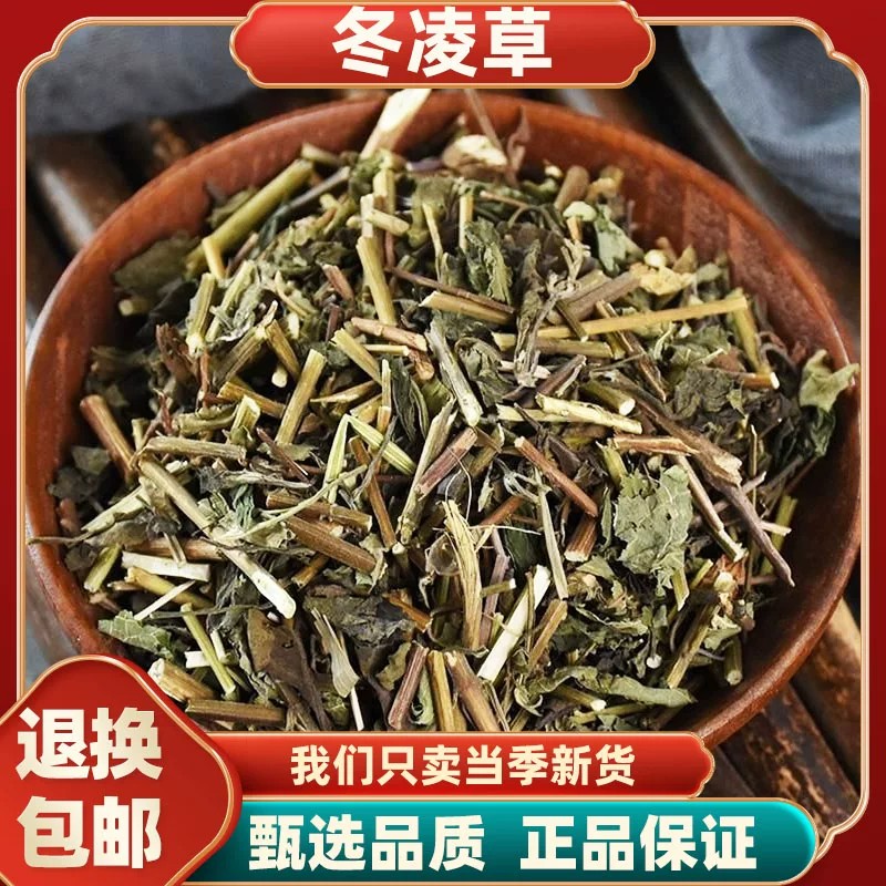冬凌草中药材精选当季新货新鲜晾晒干燥纯天然无硫质地轻盈无杂质