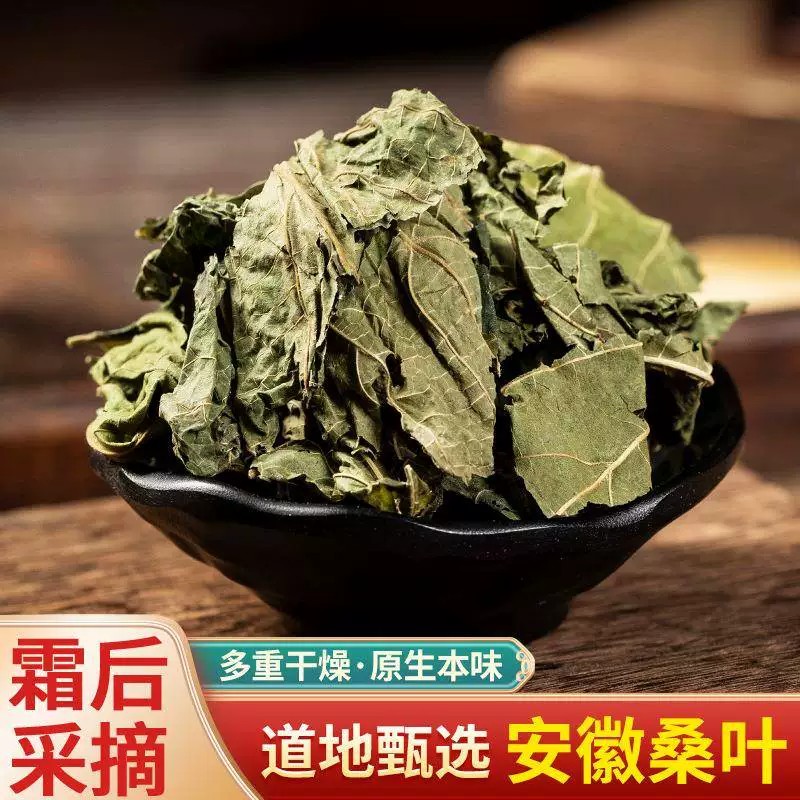 正品桑叶中药材无硫新鲜干货桑叶泡茶冬桑叶霜打霜后霜精选桑叶茶