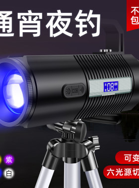 神火GF03强光远射钓鱼灯蓝光夜钓手电筒超亮四色光源充电专业防水