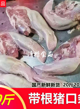 生鲜猪口条20斤猪舌头