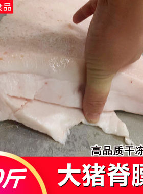 冷冻肥肉新鲜猪肥膘猪脊膘