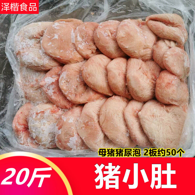 鲜冻猪小肚 生猪尿泡猪膀胱尿泡 猪尿脬猪脬子卤煮佳品 个大国产