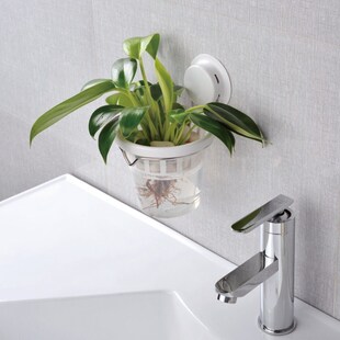 嘉宝免打孔吸盘花盆办公室桌面壁挂水养室内水培植物创意绿植架子