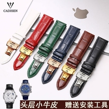 适配卡迪森真皮手表带 Cadisen男女通用表链头层牛皮蝴蝶扣柔软配
