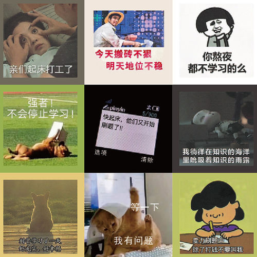 励志学习表情包贴纸沙雕搞笑抽象