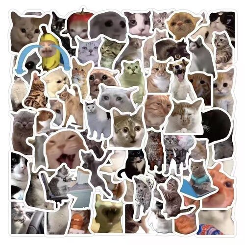 meme猫搞笑表情包贴纸手机壳DIY