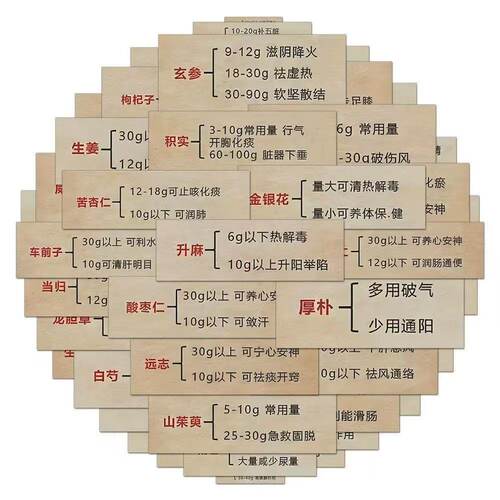 中医药文字贴纸医学生手账DIY