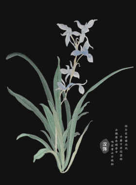 兰花补丁布贴刺绣贴熨烫款绣花