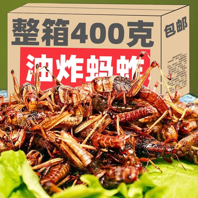 油炸蚂蚱即食新鲜油炸蝗虫食用