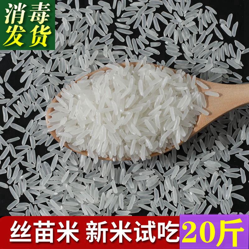 南方煲仔饭专用斤装长粒香大米