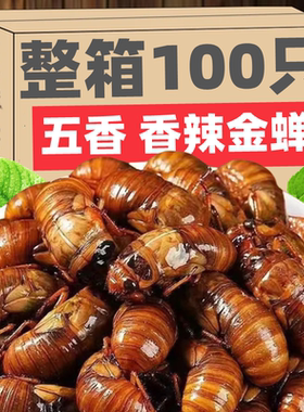 YZY山东特产炸金蝉新鲜蝉蛹即食油炸知了猴香辣知了现炸下酒菜