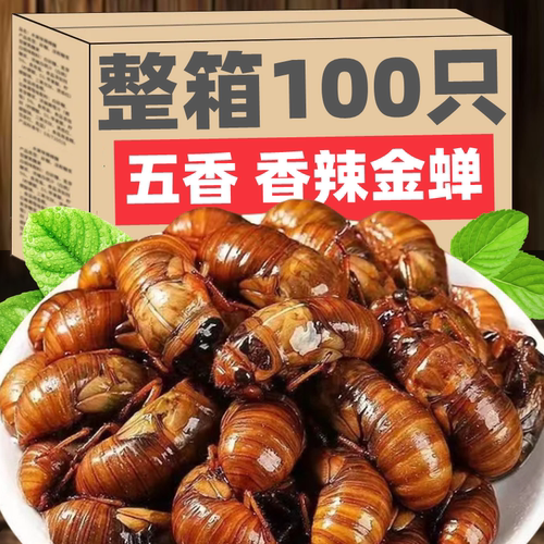 山东特产炸金蝉新鲜蝉蛹即食油炸