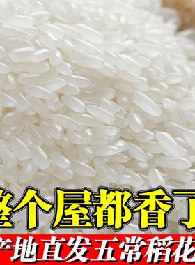 DB五常稻花香米20斤21年新大米东北长粒米稻香米10斤官方旗舰店