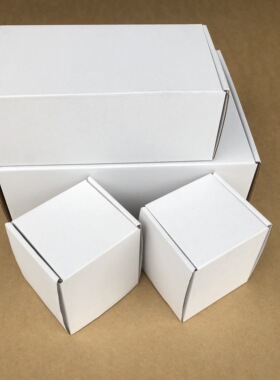 东莞10CM加高纸盒双面白包装盒可印刷LOGO文字三层瓦楞白色飞机盒