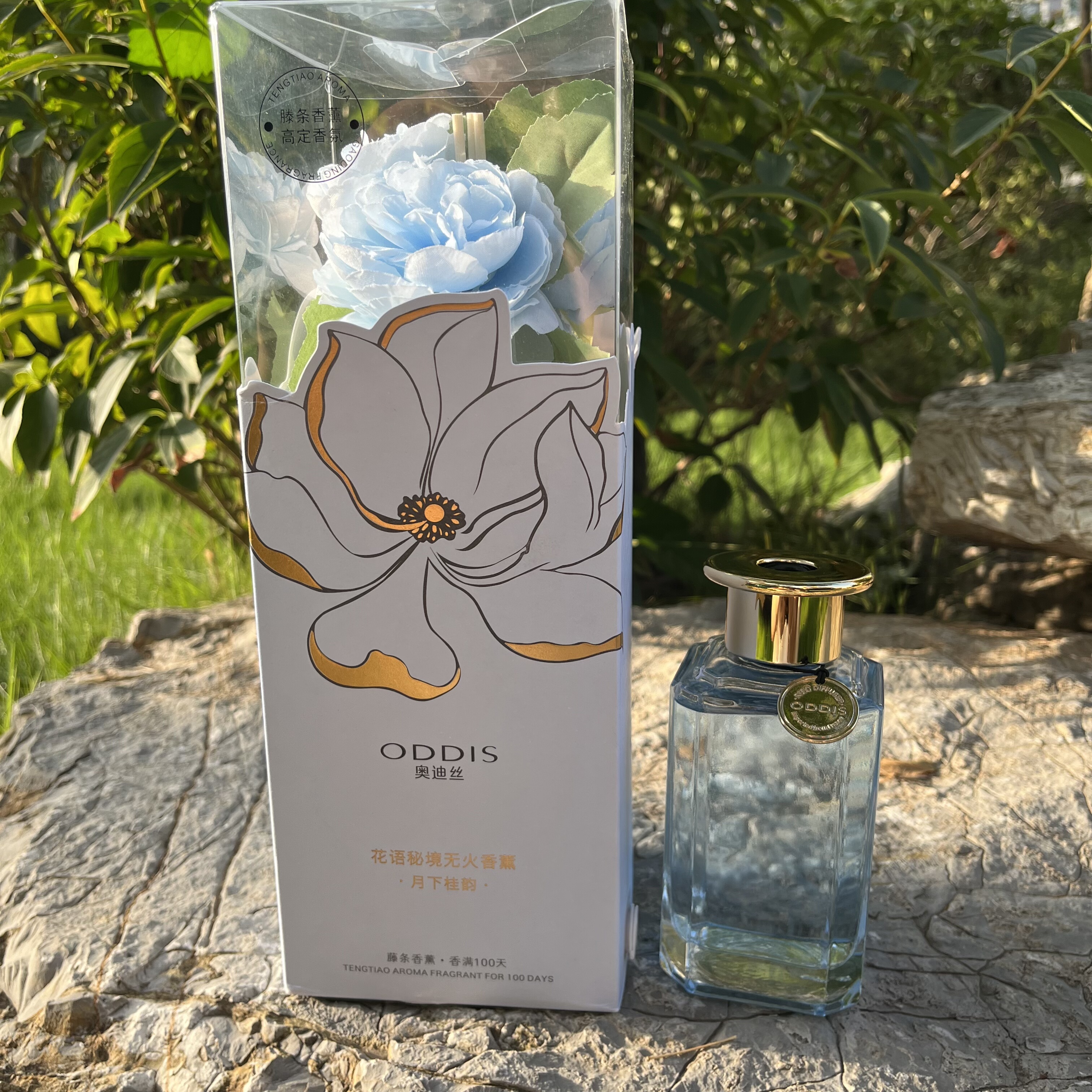 奥迪丝花语秘境无火香薰家用室内持久留香花艺小众高级摆件客厅