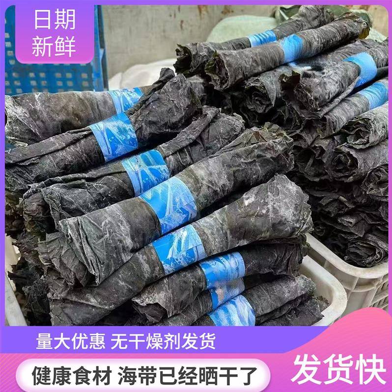 海鲜带卷新干海带干货晒干火锅煲汤凉拌食材商用家用