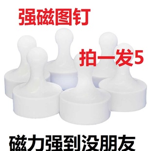 钕铷强力磁铁图钉圆形特大号白色强磁钉5个教学白板吸铁石磁吸强