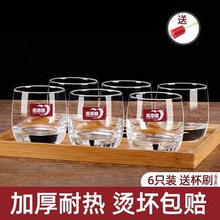 青苹果玻璃杯套装 家用客厅耐热泡茶杯简约啤酒杯喝水杯子无盖6只