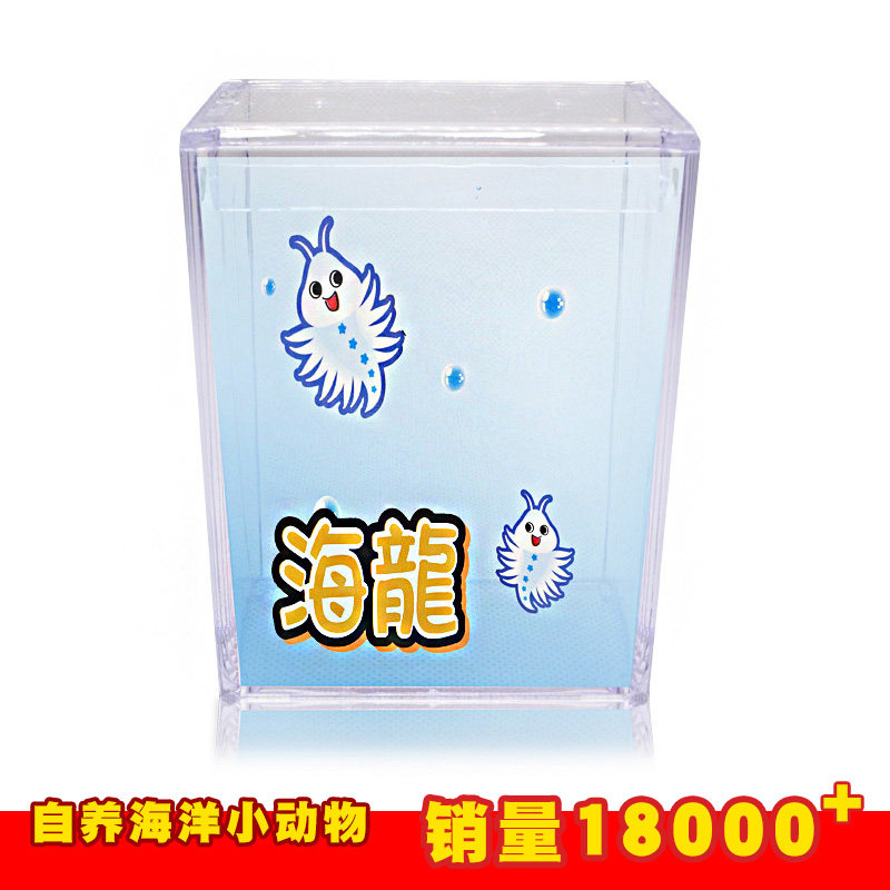 抖音爆款全程diy超可爱海洋宠物 宠物蜜语小海龙 孩子科普