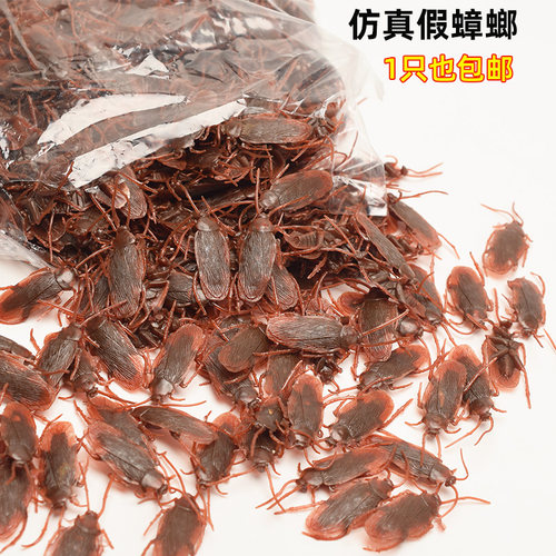 仿真小昆虫模型恶搞仿真虫子蟑螂