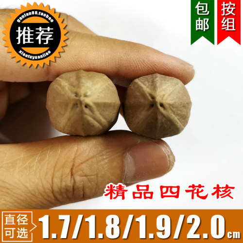 原籽精品手串皮素核橄榄文玩