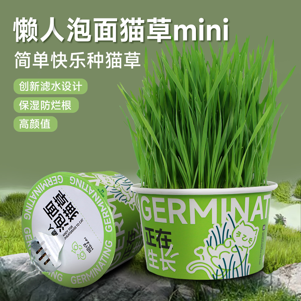 []懒人泡面猫草排毛球化毛创新滤水设计猫零食猫草mini