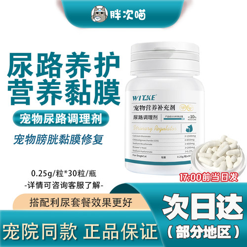 猫咪膀胱炎尿频尿血尿路感染