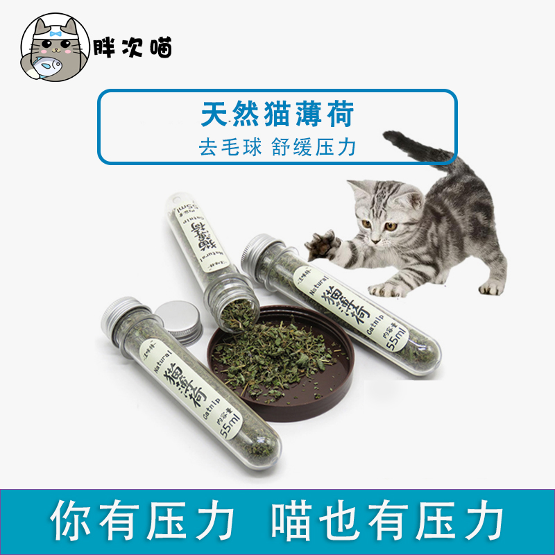 天然助消化清洁口腔美短猫草