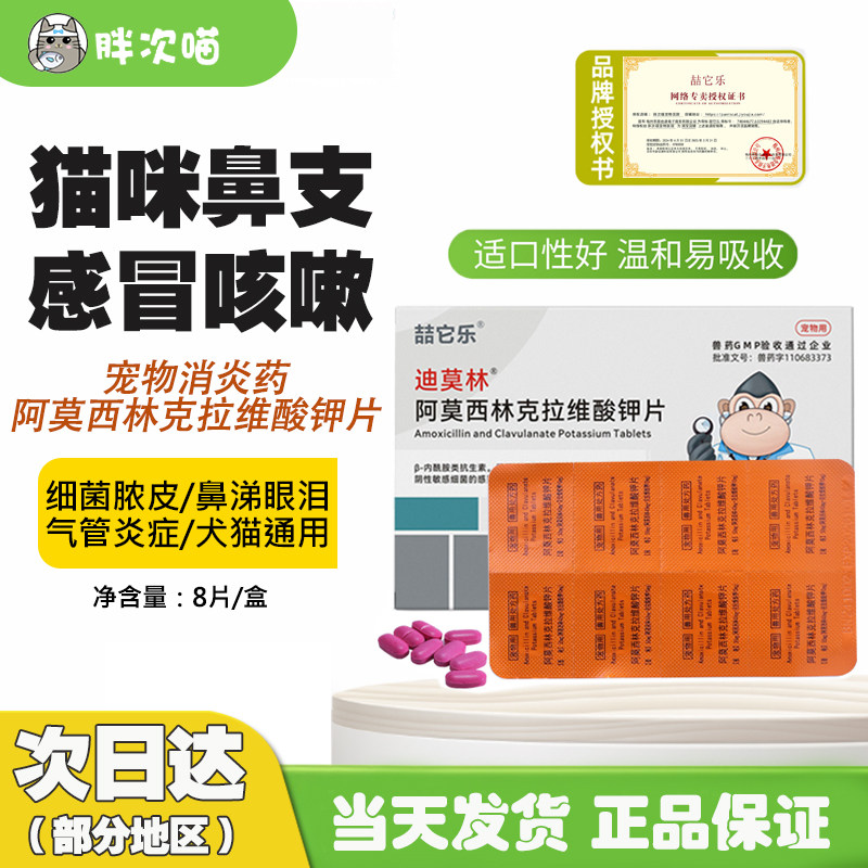 喆它乐迪莫林阿莫西林克拉维酸钾消炎药猫鼻支感冒猫鼻支,宠物/宠物食品及用品,猫呼吸道疾病药品,淘宝优惠券,粉丝福利购,淘宝优惠卷