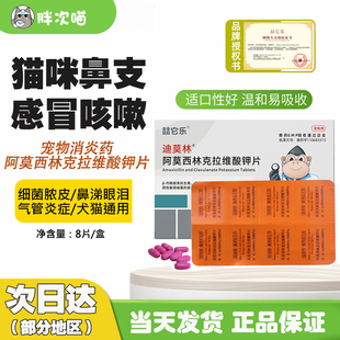 喆它乐迪莫林阿莫西林克拉维酸钾消炎药猫鼻支感冒猫鼻支