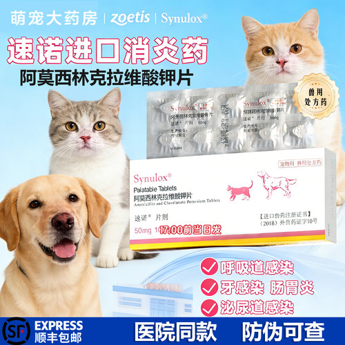 速诺猫狗阿莫西林克拉维消炎片