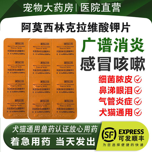 速诺阿莫西林片猫狗消炎药感冒药