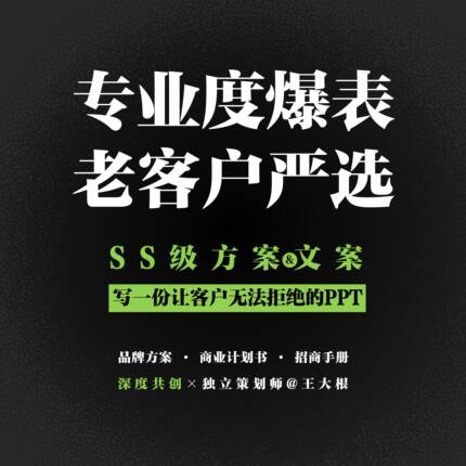 商业计划书 / 专业度爆表的PPT&方案 | 策划/汇报 | 代写定制