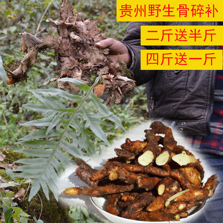 骨碎补 新鲜毛姜爬岩姜巴岩姜猴姜新鲜骨碎补500克包邮