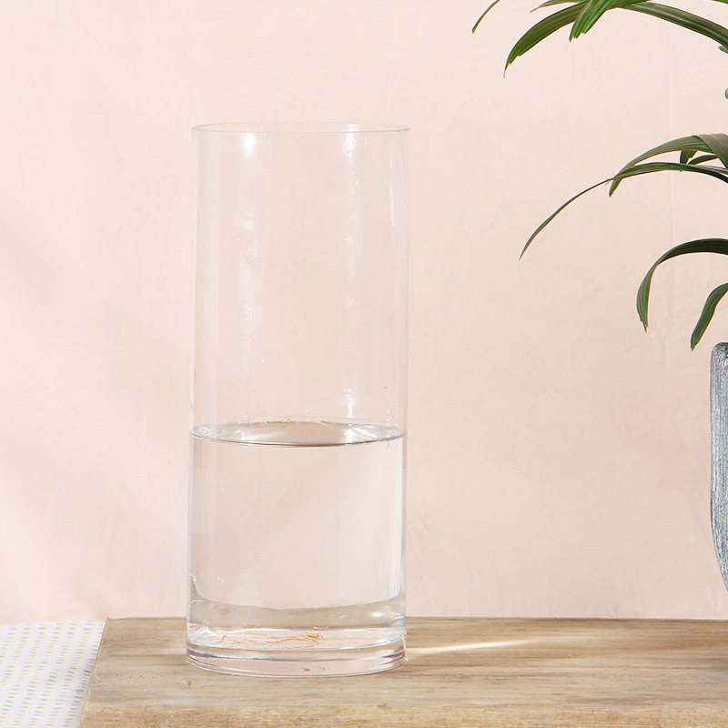 玻璃花瓶ins小叶富贵竹摆件插花透明客厅落地家居摆设装饰瓶子