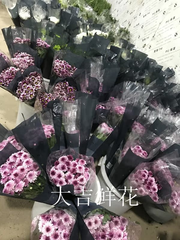 云南昆明小雏菊兵乓菊鲜花同城速递10支一扎起卖顺丰两扎包邮