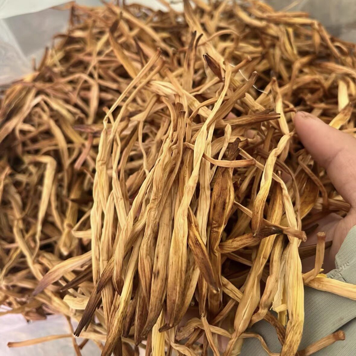 温州特产黄花菜干货农家自晒黄花菜干黄花菜火锅土特产新货