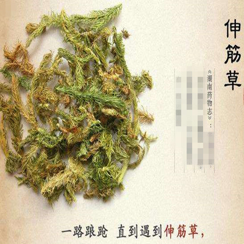 祁药香包邮 伸筋草500克 大伸筋草 狮子草 另售远志益智仁