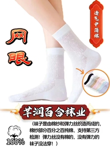 高档男网袜100%纯棉吸汗透气休闲商务运动时尚精品男网眼袜