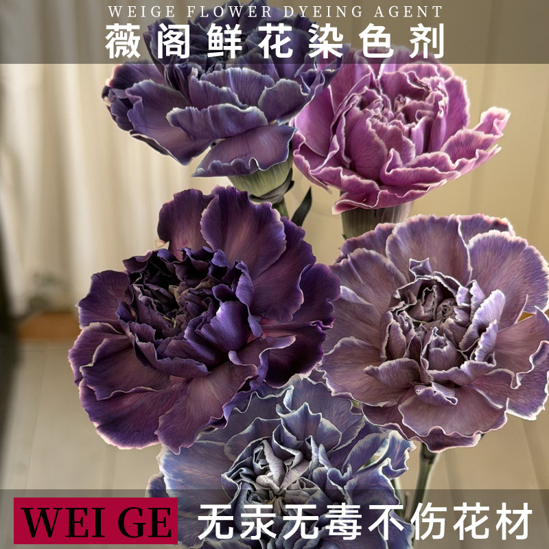 紫色系鲜花吸色剂染色剂