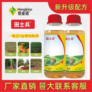 【1000克大瓶装】果园茶园林园田埂路边房前屋后冰草小飞蓬节节草