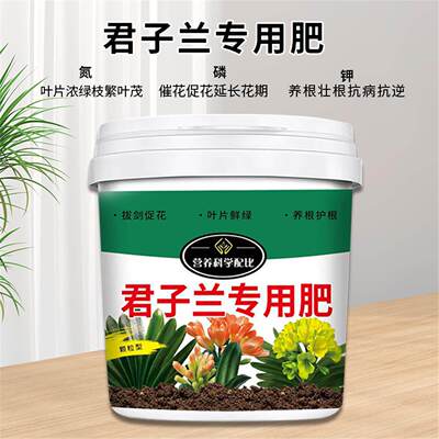 君子兰专用肥室内家用生根爆盆叶片茁壮油亮缓释肥