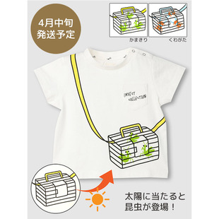 遇阳光变色 原D 有机棉 纯棉 T恤 贵牌昆虫