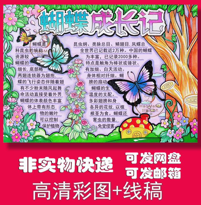 电子版线稿昆虫蝴蝶观察成长记录学生自然作业手抄报模板不退换
