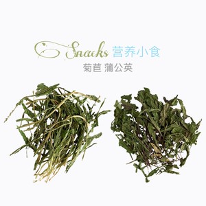 迷宠舍烘干菊苣花生秧蒲公英兔子