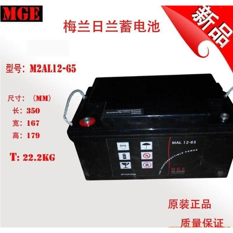 MGE施耐德梅兰日兰蓄电池M2AL12-60/12V65AH  UPS直流屏
