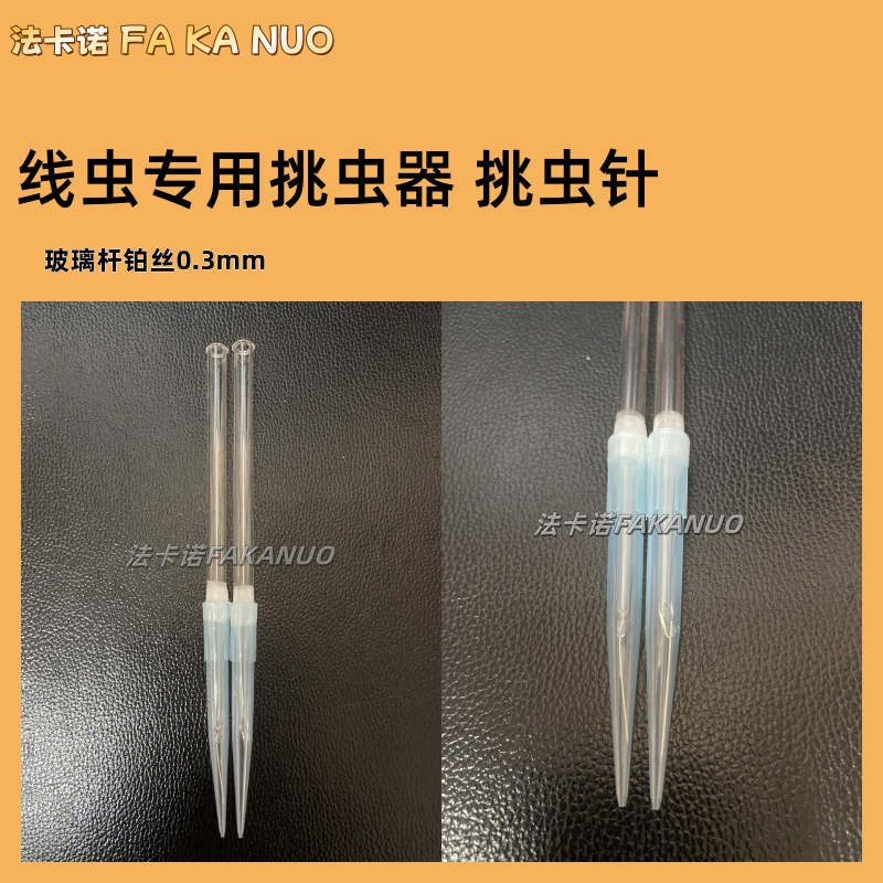 线虫生长培养基 NGM培养基 Nematode Growth Medium