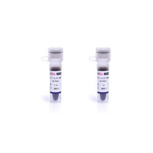 抗Flag标签磁珠试剂盒 圣尔生物 SB-PR002
