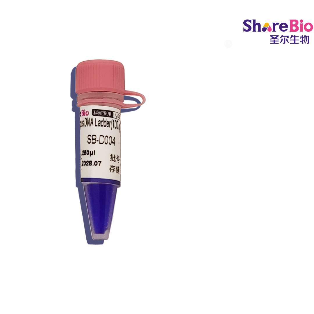 5000bpplusDNALadder
